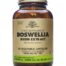 huesos y articulaciones BOSWELLIA EXTRACTO DE RESINA 60 CAP