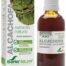 extractos de plantas EXTRACTO DE ALCACHOFA 50 ML XXI