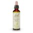 Flores de Bach Chestnut bud brote de castano de indias 20ml