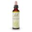 BACH 16 HONEYSUCKLE (MADRESELVA) 20ML