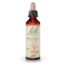 BACH 20 MIMULUS (MIMULO) 20ml