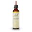 Scleranthus (Escleranto) 20ml Flor de Bach original