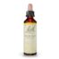 BACH 36 WILD OAT (AVENA SILVESTRE) 20ml,