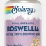 huesos y articulaciones BOSWELLIA AYURVEDIC HERBS 300 MG-60 CAP