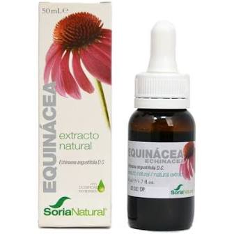 extractos de plantas EXTRACTO DE ECHINACEA 50 ml