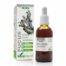 extractos de plantas EXTRACTO DE FUCUS XXI 50ML