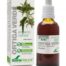 extractos de plantas EXTRACTO DE ORTIGA VERDE 50 ML XXI