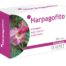 plantas en comprimidos HARPAGOFITO 60 comp de 330mg