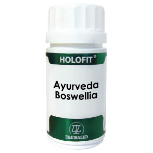 jaleas y energeticos HOLOFIT BOSWELLIA 100 MG 50 CAP