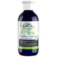 línea capilar CHAMPU HENNA NEGROS BIO 300ml